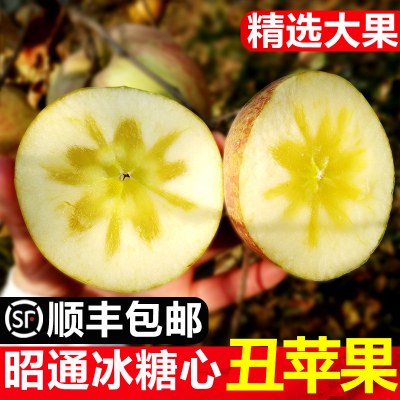 云南昭通丑苹果冰糖心水果新鲜脆甜大果10斤红富士当季整箱包邮