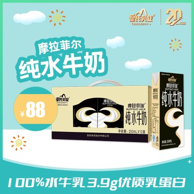 皇氏乳业摩拉菲尔原味纯水牛奶250ml*12盒浓厚醇香高端纯牛奶整箱