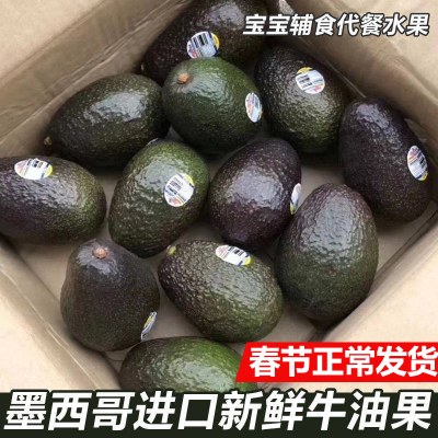 墨西哥进口10个牛油果大果油梨新鲜水果宝贝辅食鳄梨整箱