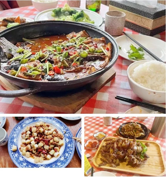 北外同文素材 春游踏青