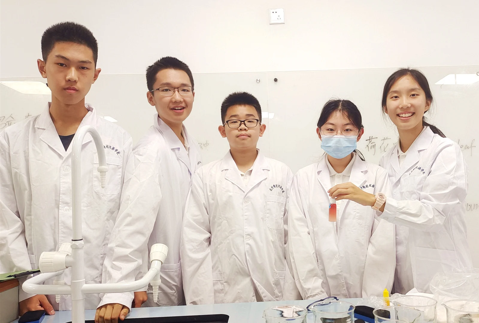 北外同文素材 教学观察