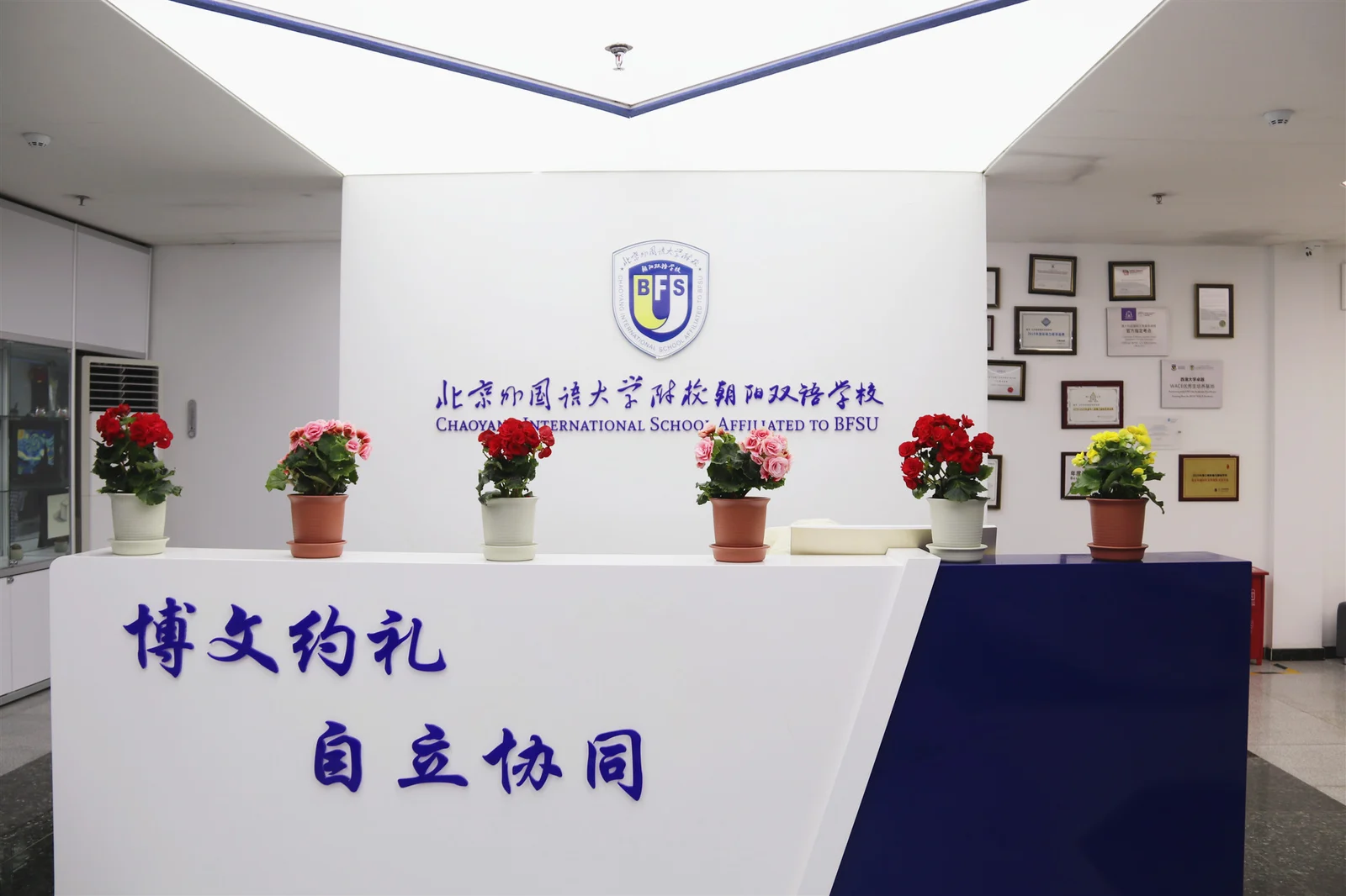 北外同文外国语学校开学季家长速览:招生、学费、课程与升学信息解读