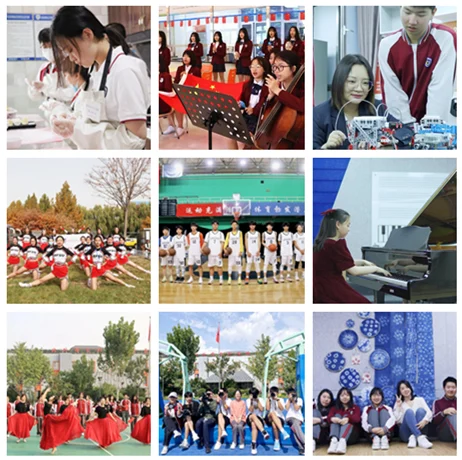 北外同文素材 官宣!同文外国语学校获得全球最大权威学校认证机构 Cognia 官方认证