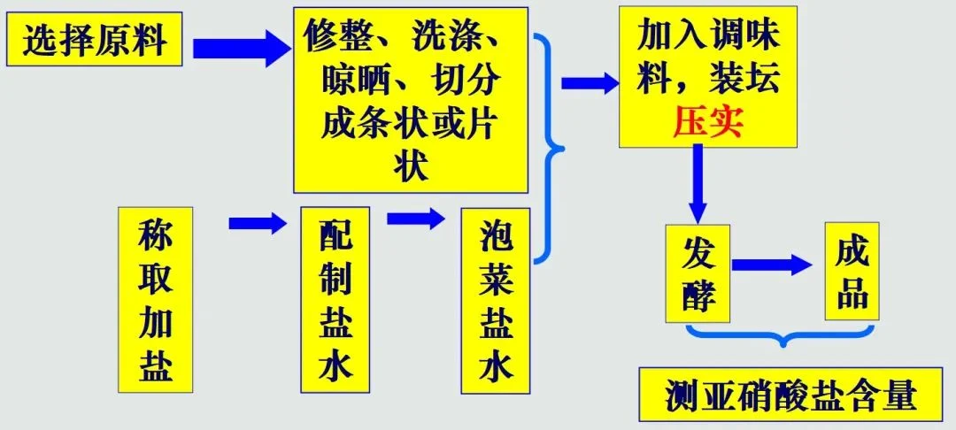 北外同文外国语学校招生解读:从乳酸菌泡菜实验看课程实施与升学素养