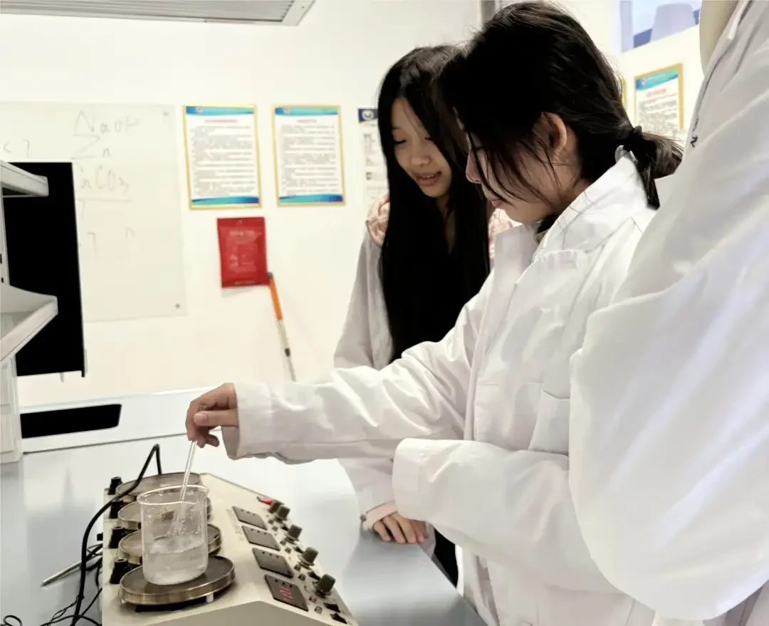 北外同文素材 教学观察