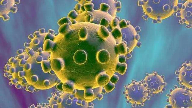 北外同文外国语学校招生解读：从疫情防护通知看校园健康管理与假期学习提醒