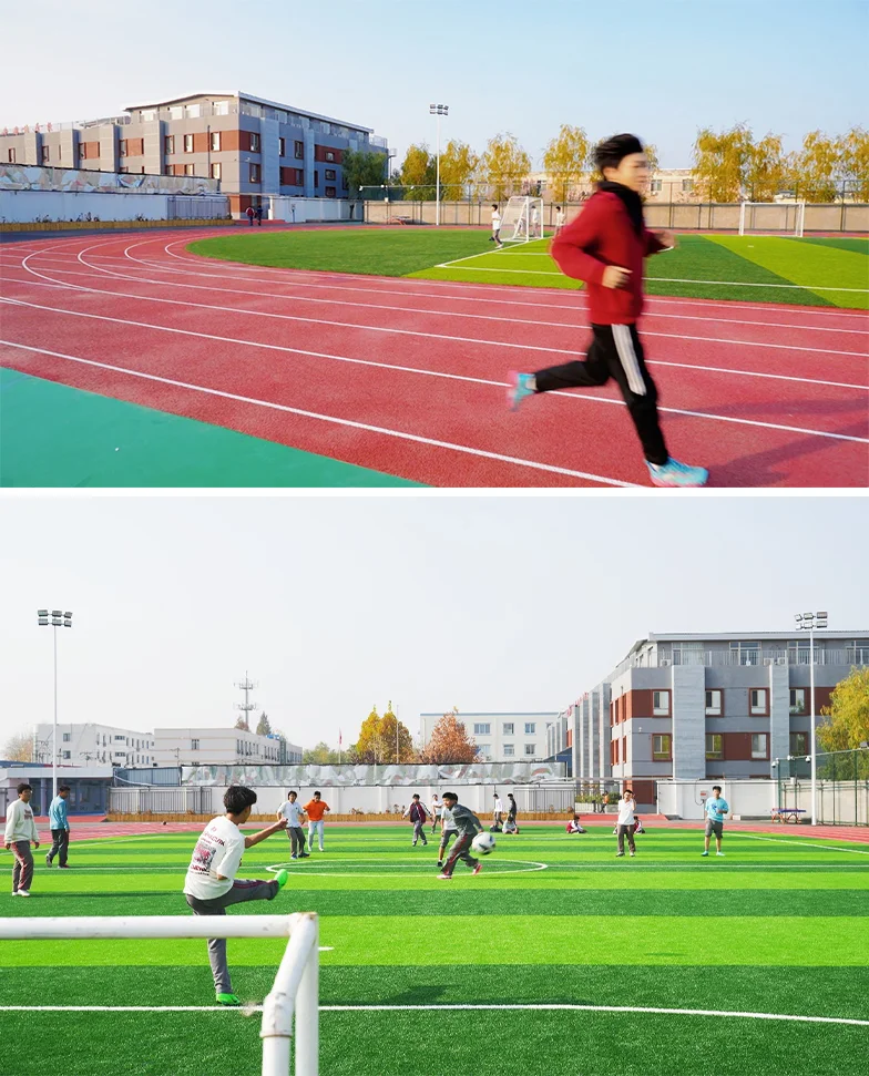 北外同文素材 学校新闻