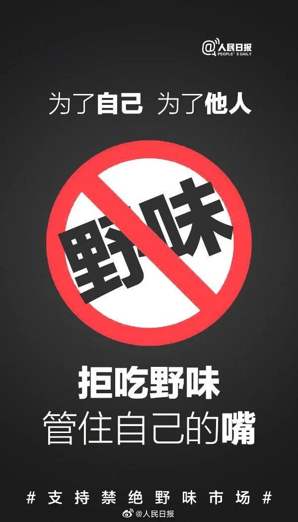 北外同文外国语学校招生解读:学费之外,体育课程与健康管理如何支撑升学选择