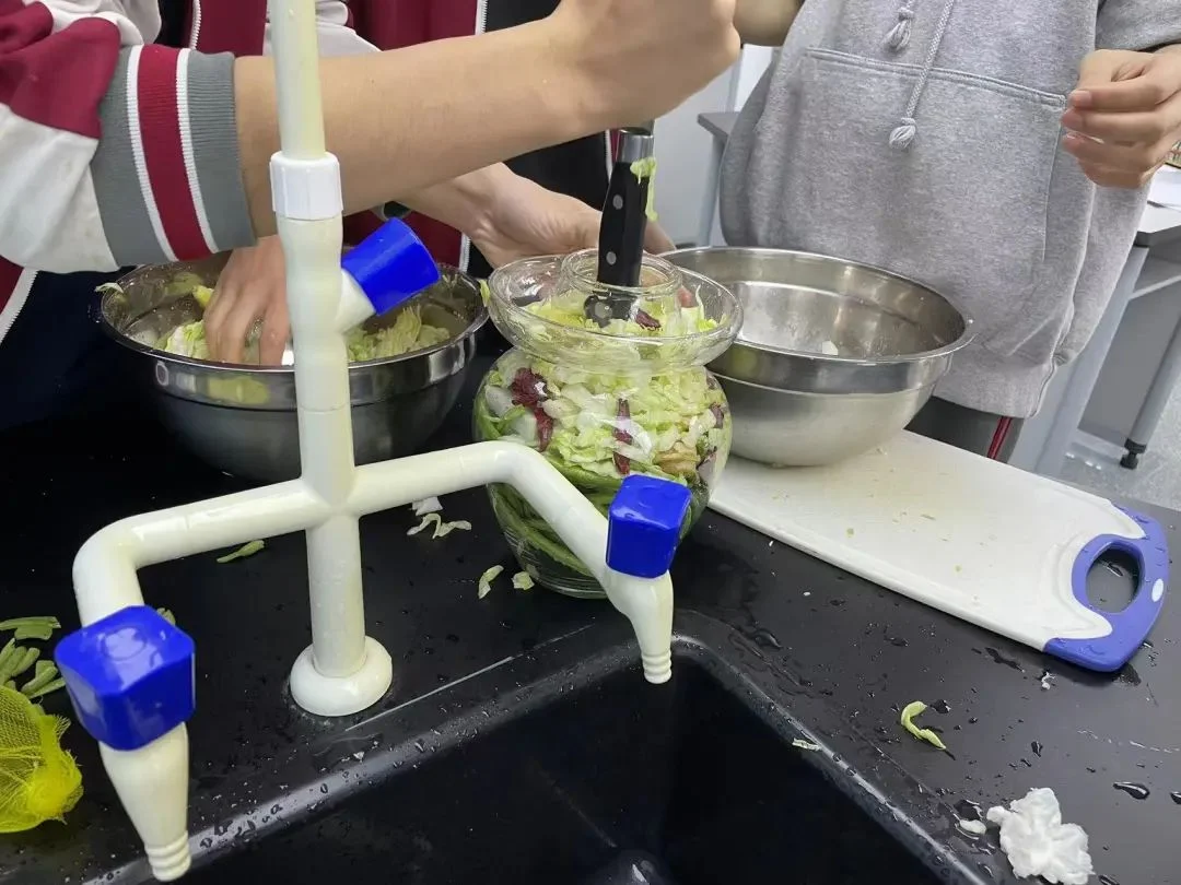 北外同文素材 教学观察|生物课实验:利用乳酸菌制作泡菜