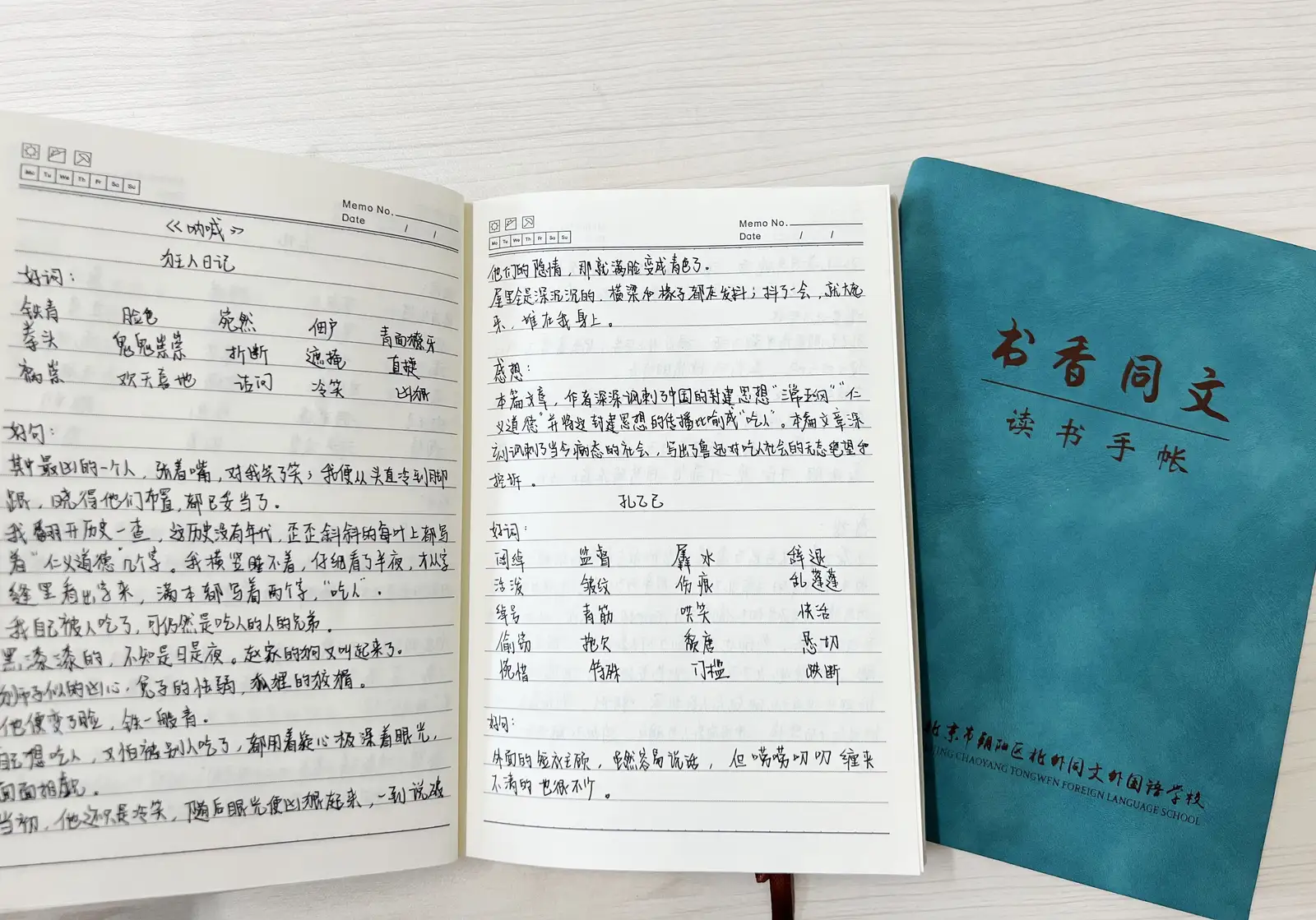 北外同文素材 教学观察｜“启迪心智，书香同文” 阅读习惯培养活动