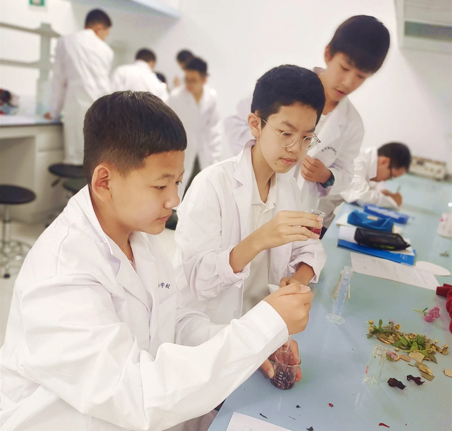 北外同文素材 教学观察